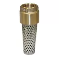 2" Brass 710 Series Lead-Free Foot Valve | MRLFVNL200