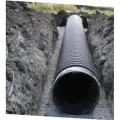 10" x 20'Bell End HDPE Perforated Dual Wall Pipe | DPE0801020AEP