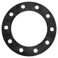EPDM For 3" Flange Gasket | LSC30GE