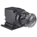 120 V 10 gpd Single Head Adjustable Classic Series Peristaltic Pump | STN45MJH2A2STAA