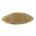 Unhulled Coated Bermuda Grass Seed