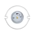 4" For CSA1CB and CWW1CB Savannah Path Light and Wall Wash LED Retrofit Module | CSLCSWLED2