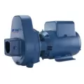 3 hp 208 to 230/460 V 120 psi 150 gpm SPM Series High Power Self-Priming Centrifugal Pump | FLWSPM301