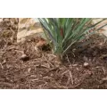 1/2" FPT 7 gpm Brown Irrigation Hose Riser | HTRIHRISER06
