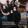 12 W 24' Warm White Color Changing LED Vintage Cafe Light | JAS37791