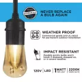 12 W 24' Warm White Color Changing LED Vintage Cafe Light | JAS37791