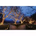 Twisted Wire For 12 VAC Fairy Light String Power Lead | LCFLEDMSLACPWR