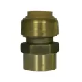 1" Push Fit x FNPT Lead-Free Forged Brass 72100F Adapter | MCD72100F