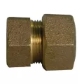 3/4" Type T CTS Compression x FNPT Lead-Free Brass Straight Adapter | MCD74754T34