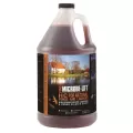 1 Gallon Liquid Red to Purple Vegetative Culture | MIC10HCG4