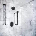 4-1/2" x 9-3/4" Plastic Matte Black Eco-Performance Handheld Shower | MON3670EPBL