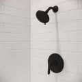4-25/32" x 2-9/16" Brass Matte Black 1-Handle Shower Trim | PPFLG897WRB