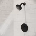 4-25/32" x 2-9/16" Brass Matte Black 1-Handle Shower Trim | PPFLG897WRB