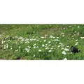 Polyurethane Garden Series Demo Kit | SNC93441
