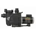 Jandy Pro Series 120 Gpm Water Feature Pump