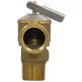 3/4" MIP x FIP 30 psi Standard Brass Residential Pressure Relief Valve | WEB20733
