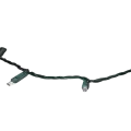 4.8 W 24' Green LED String Light | HOL45693RB