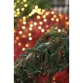 4.8 W 23-1/2' Red Premium-Grade Conical LED Strand/String Light | HOL45602RB