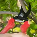 Bypass Pruner, 3/4"