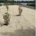 CURLEX NET FREE EROSION CONTROL BLANKET | EROCURLEXNF8X90