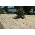 CURLEX NET FREE EROSION CONTROL BLANKET | EROCURLEXNF8X90