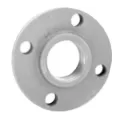 Companion Flange, 4" Ductile Iron