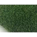 Global Synthetic Family Pet Turf | FAMILY PET