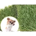 Global Synthetic Family Pet Turf | FAMILY PET