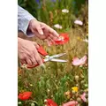 Floral Scissor, Stainless Steel Blade | FS 3394