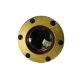 FX Well Light W/Ring Brass No Lamp | FCNLRGBS