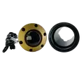 FX Well Light W/Ring Brass No Lamp | FCNLRGBS