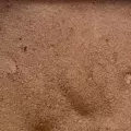 Masonry Sand - Scoop | MASONSAND