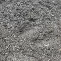 Screened Top Soil - Per Scoop | Screened Topsoil