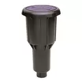 Rainbird Impact Rotor Pop-Up Sprinkler, w/SAM NP | B0615008NP