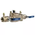 Febco Double Check Valve Assembly, 2" FNPT | T1116