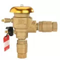 Febco Pressure Vacuum Breaker, 1" FNPT | T765EBV