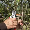 Felco Bypass Young Branch Hand Pruner | FELCO 11