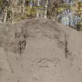 Organic Compost | ORGCOMPOST