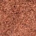 AMERICAN RED BARK