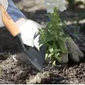 AMES TRANSPLANT TROWEL TEMPERED