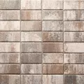 Belgard Holland Stone, 4" x 8", 60mm, Napoli