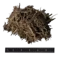 Triple Shred Hard Mulch | TRIPLE