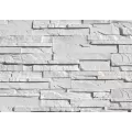 CORONADO BBF PRO-LEDGE WHITE W/ MICA 120 SF/ PALLET