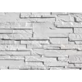 CORONADO BBC PRO-LEDGE WHITE W/ MICA 100 FT/ PALLET