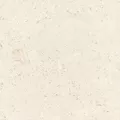 Shellstone Porcelain Paver 24" X 24" X 3/4" (2 cm), 4 sq. ft / ea., 8 sq. ft. / box, 240 sq. ft. / pallet