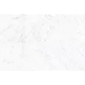FRONTIER20 MICHELANGELO WHITE 7.75 SF/BOX 24" X 24"