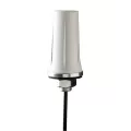 Calsense Stubby Antenna | GR-STUBBY