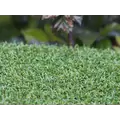 GST PUTT-46 BICOLOR COLOR LIGHT BI-COLOR GREEN 15' X 100' 1/2"