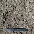 Engineered Topsoil | ENGTOPSOIL