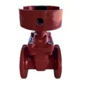 Leemco Non-Rising Stem Mainline Resilient Wedge Gate Valve Ductile Iron 2" x 2" Flange x Flange | LMV-11FF